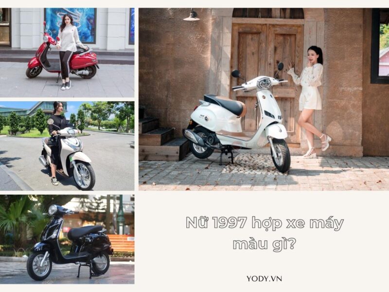 Gam màu nam 1997 mệnh Thủy nên tránh hoặc cân nhắc kỹ lưỡng