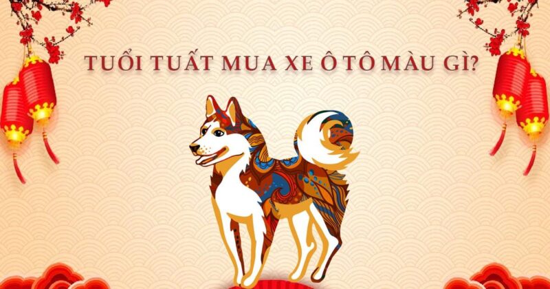 Mau sac phong thuy xe hop menh cho nguoi tuoi Tuat