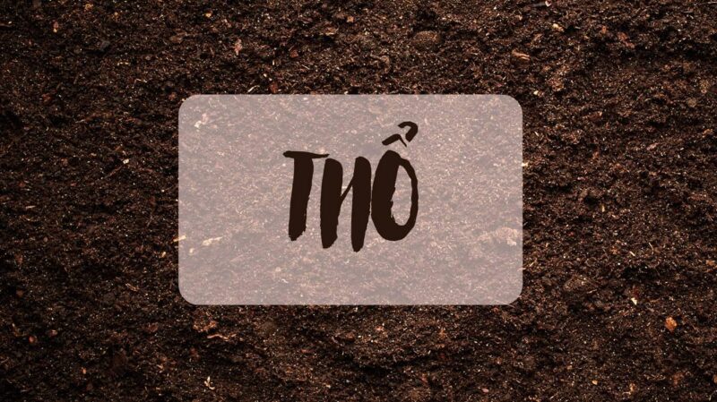 Tim hieu sinh nam 1998 menh gi hop mau gi trong phong thuy va nghe thuat