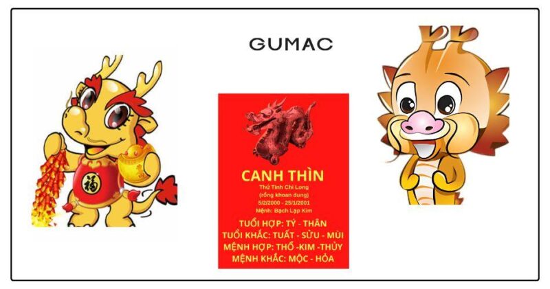 Khám phá những màu sắc tương sinh, bản mệnh hợp với nữ tuổi thìn 2000 hợp màu gì