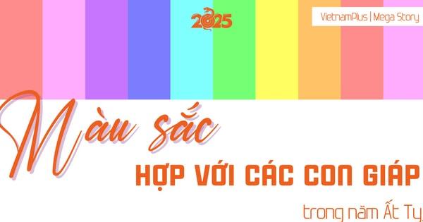 Các màu sắc tương sinh tương hợp với nam mệnh 2006 như vàng, nâu, đỏ mang lại may mắn