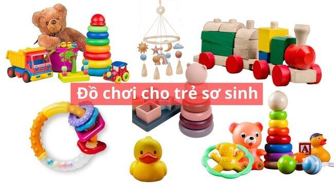 Con Mèo Tô Màu Gì Đẹp Nhất? Cach chon con meo to mau gi voi mau long tu nhien chan that