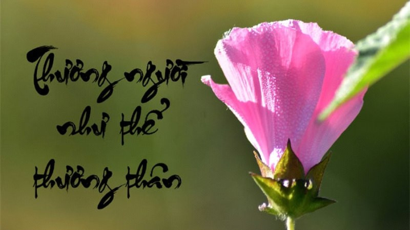 Minh họa cách sử dụng phép lặp trong văn bản tạo sự kết nối và mạch lạc