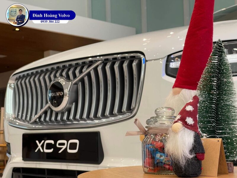 Màu Xe Máy Nữ 1998 Nên Chọn Năm 2024 Nữ 1998 Mậu Dần chọn màu xe máy hợp mệnh Thổ mang lại may mắn năm 2024