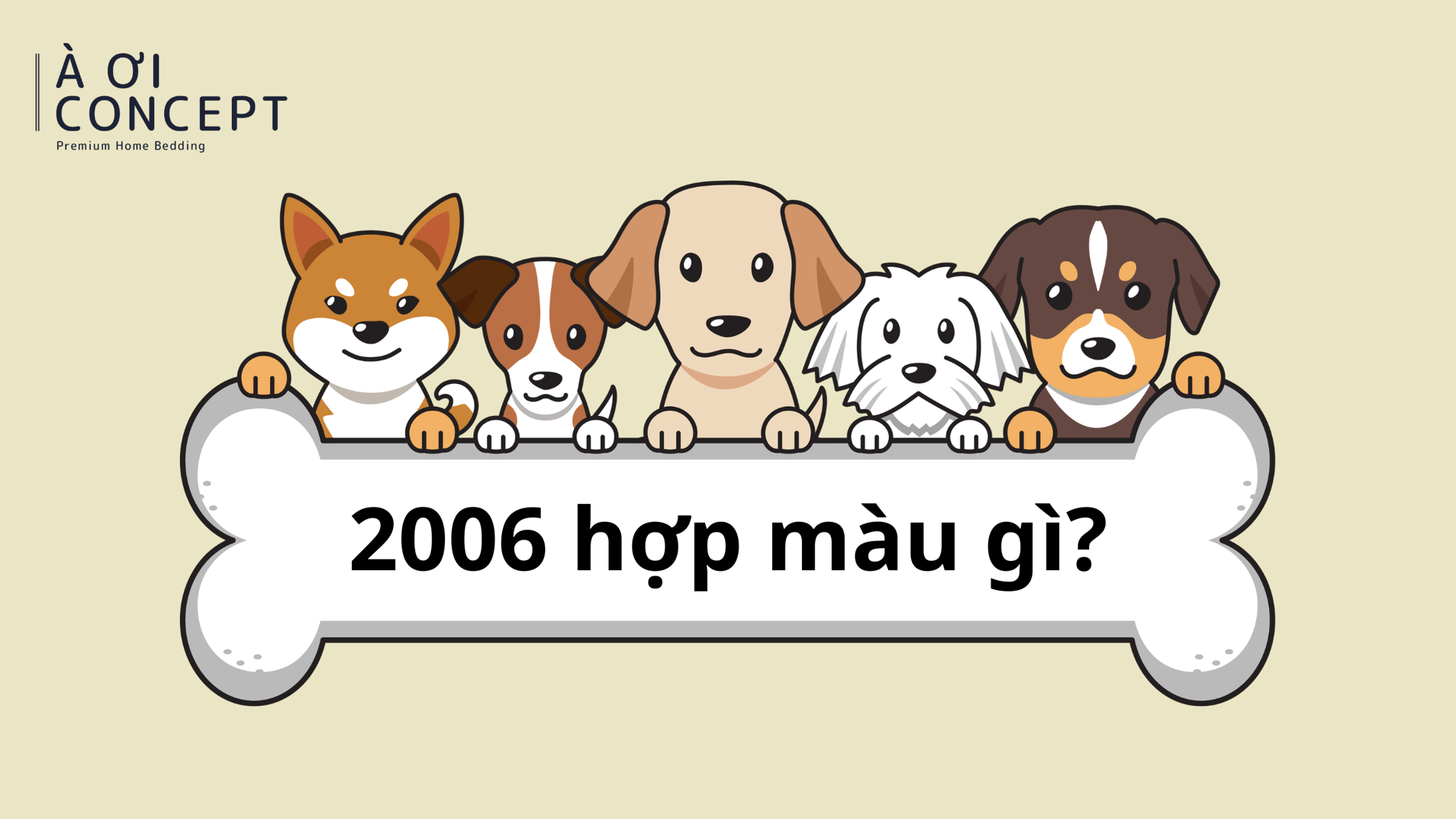 Nữ 2006 hợp màu gì khi phối đồ? Gợi ý màu sắc phong thủy may mắn