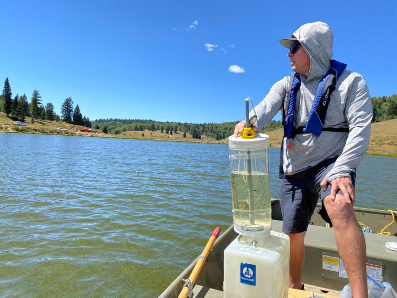 Hinh anh nuoc oi cua cho mau trong vat khi sinh