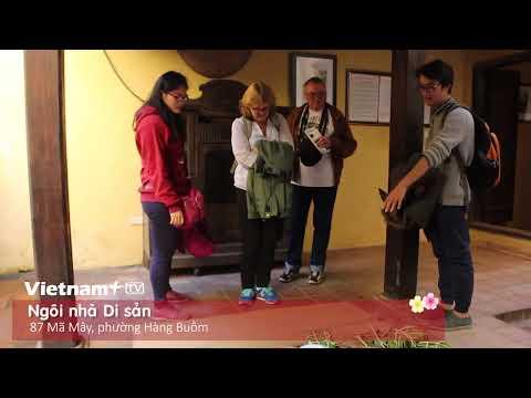 Ý nghĩa các sắc màu gà mạnh mẽ trong văn hóa và hội họa