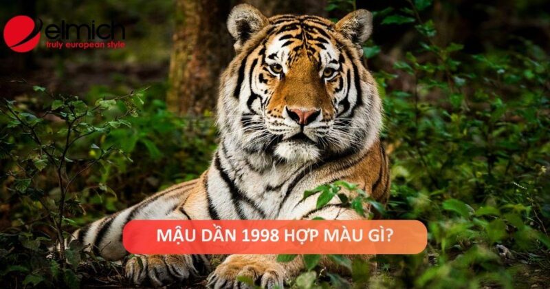 Mau sac tuong sinh tuong hop nu Mau Dan 1998