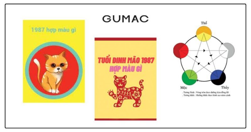 Các sắc màu may mắn và phù hợp cho người tuổi Đinh Mão mệnh Hỏa