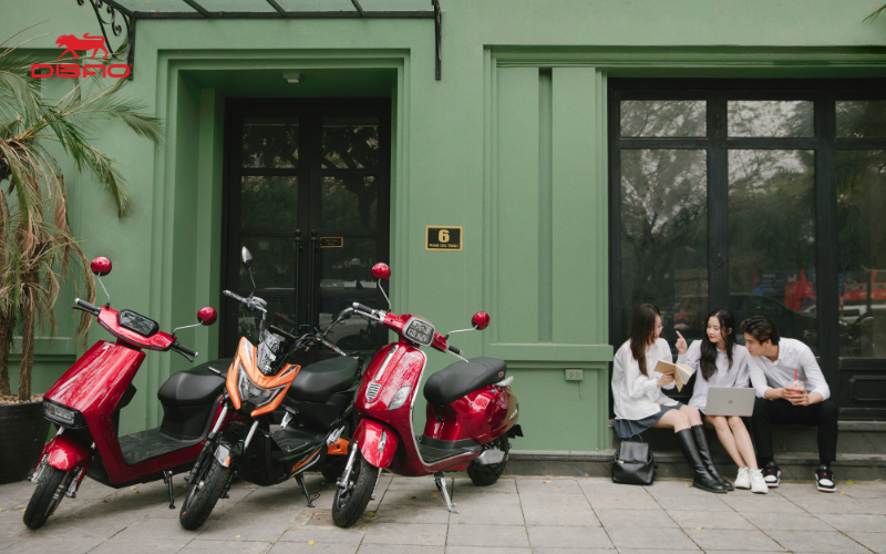 Màu sắc phong thủy tuổi Hợi 2025 thu hút may mắn và năng lượng tích cực