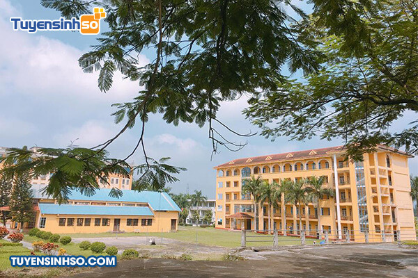 Toàn cảnh Khoa Ngoại ngữ Đại học Thái Nguyên