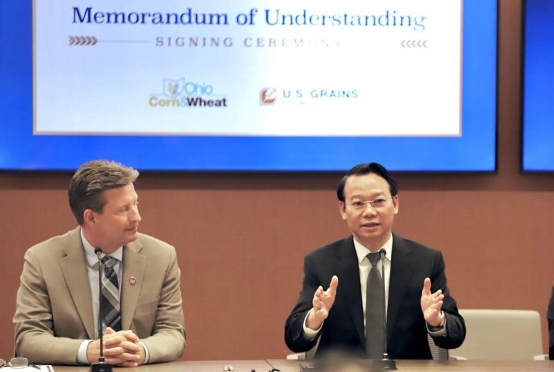 Tranh minh hoa ky thuat so phu hop voi xu huong thiet ke hien dai va moi truong online